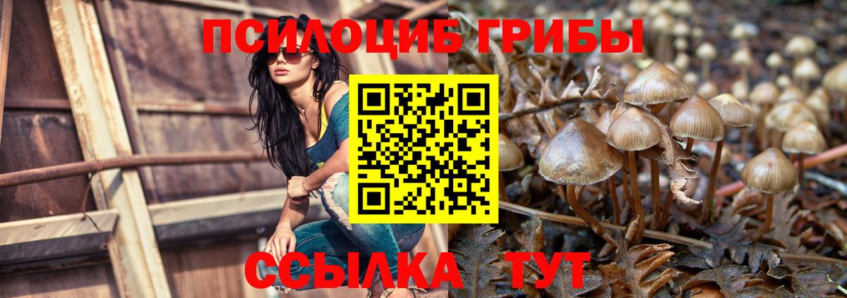 Псилоцибиновые грибы Magic Shrooms Волгодонск