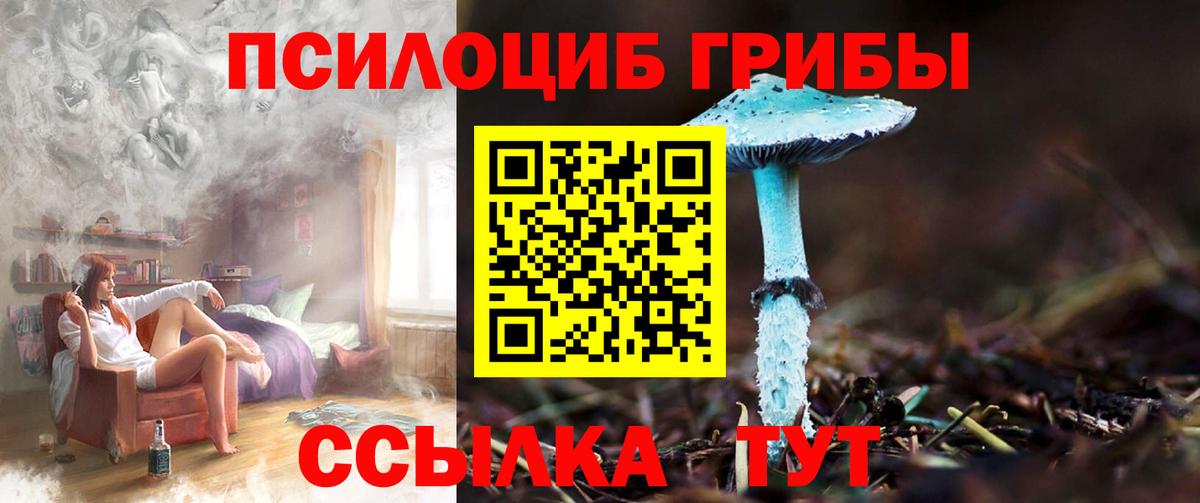 Галлюциногенные грибы Cubensis  Вход с VPN  Волгодонск 