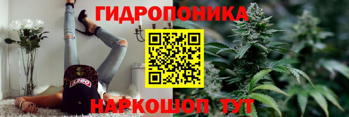 Волгодонск  Канабис White Widow  Бошки Шишки план  Вход с VPN  Шишки марихуана Bruce Banner  Шишки марихуана планчик 